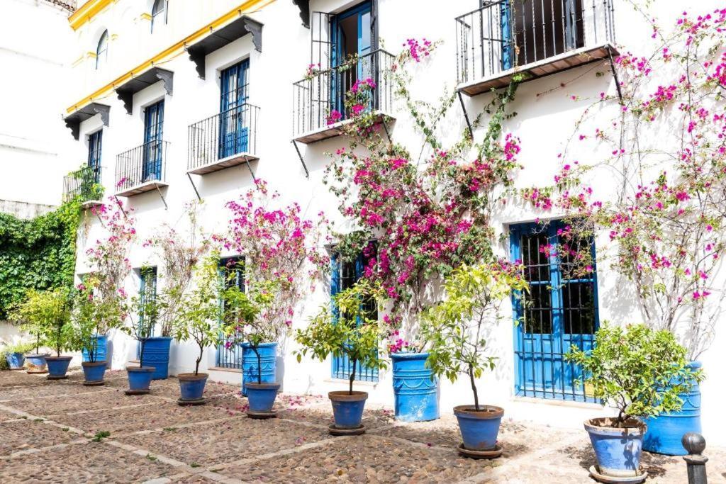 Tourist House Vidrio Séville