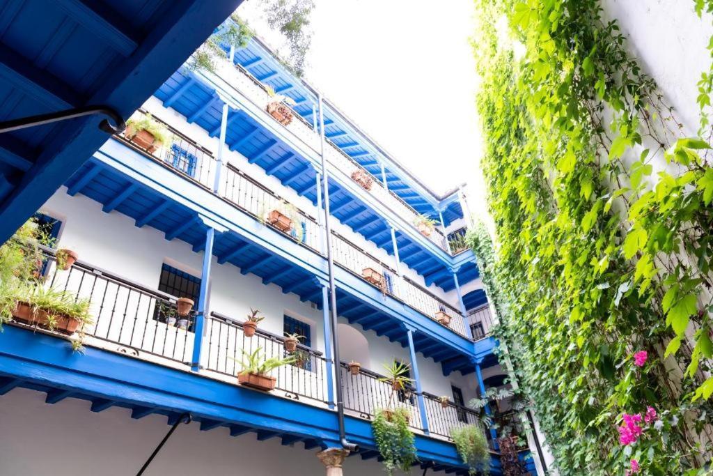 Appartement Tourist House Vidrio *